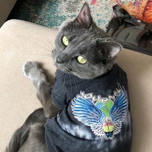 Meet your Posher, Sam